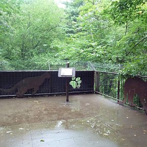 Cougar Exhibit - Viewing Platform