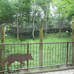Coyote Exhibit - Viewing Platform