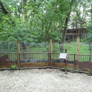 Red Fox Exhibit (Silver Phase) - Viewing Platform