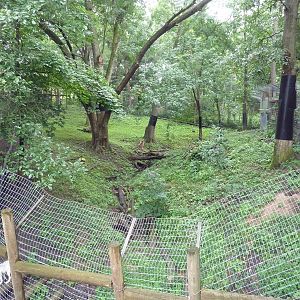 Arctic Fox Exhibit (fox in bottom left-hand corner)