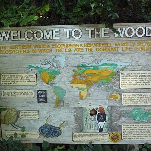 The Woods - Entrance Sign