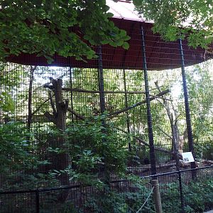 The Woods - Turkey Vulture Exhibit