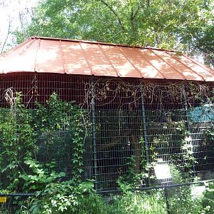 The Woods - Raccoon Exhibit