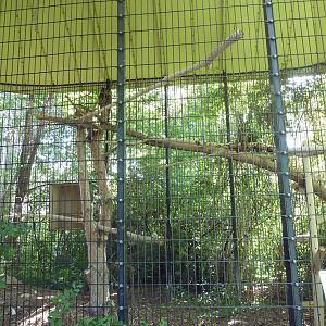 The Woods - Eurasian Eagle Owl Exhibit