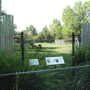 African Plains - Ellipsen Waterbuck/European White Stork/Cinereous Vulture