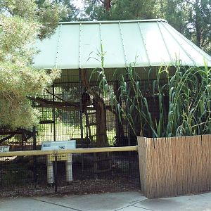 Asian Mountain - Red Panda Exhibit