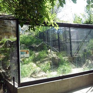 Asian Mountain - Pallas' Cat Exhibit