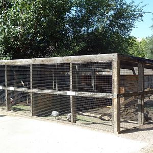 Pioneer Ranch - Chicken Coop
