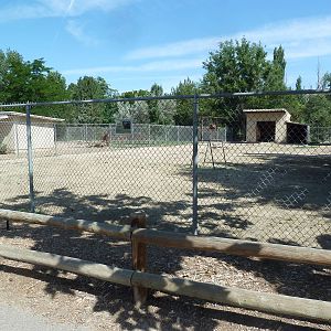 Dromedary Exhibit