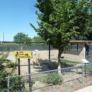 Sichuan Takin Exhibit