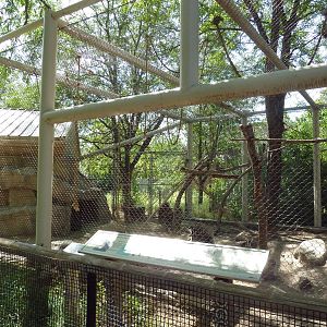 White-Handed Gibbon/Reeve's Muntjac/Temminck's Tragopan Exhibit