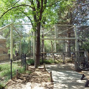 White-Handed Gibbon/Reeve's Muntjac/Temminck's Tragopan Exhibit