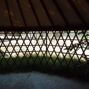 Sichuan Takin Exhibit