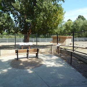 American Bison/Elk Exhibit