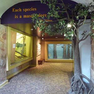 1939 Islands of Life Building - Side Hallway