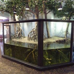 1939 Islands of Life Building - Turtle Exhibit