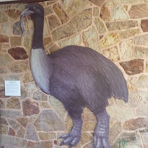 1939 Islands of Life Building - Elephant Bird