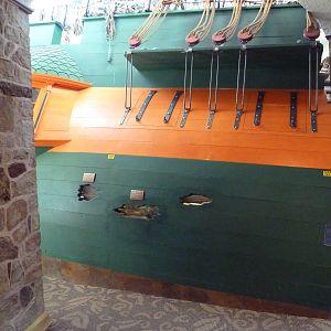 1939 Islands of Life Building - Ship Replica + Terrariums