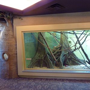 1939 Islands of Life Building - Squirrel Monkey Exhibit