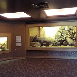 1939 Islands of Life Building - Rock Hyrax + Chuckwalla Exhibits
