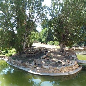 1939 Islands of Life - Ring-Tailed Lemur Exhibit