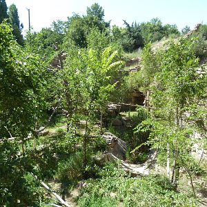 Historic Bear Pits - Golden Eagle Exhibit