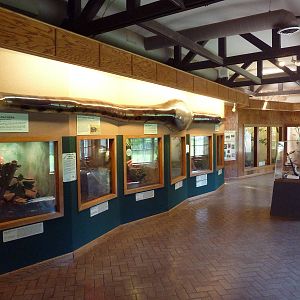 Reptile House