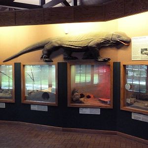 Reptile House