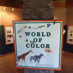 Reptile House - World of Color Sign