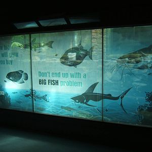 View of tank under refurb