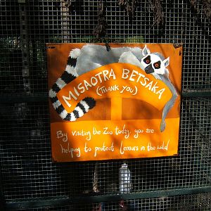 Sign just as you leave the Lemur Walk through exhibit