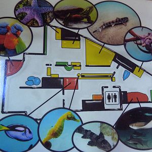 Aquarium Map