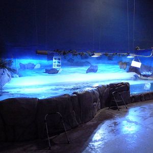 Touch Tank (4 Species)