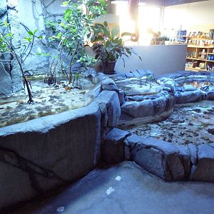Tide Pool Exhibit