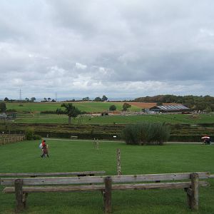 View from the Rhino House towards the Elephant House