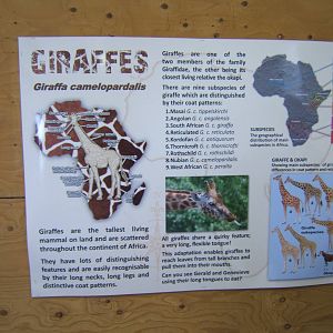 View of new information signage