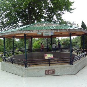 Black-Tailed Prairie Dog Exhibit