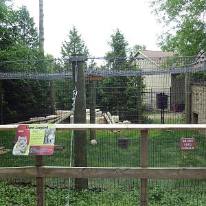 Snow Leopard Exhibit