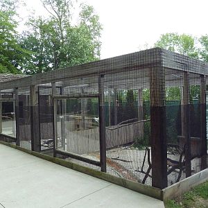 Pheasantry (3 Exhibits)