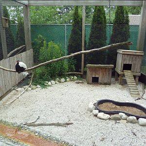 Pheasantry (3 Exhibits)