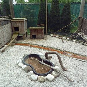 Pheasantry (3 Exhibits)