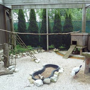 Pheasantry (3 Exhibits)