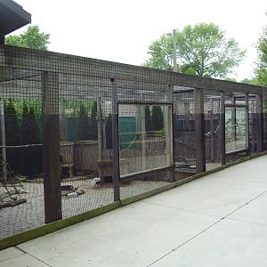 Pheasantry (3 Exhibits)