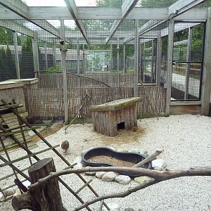 Pheasantry (3 Exhibits)