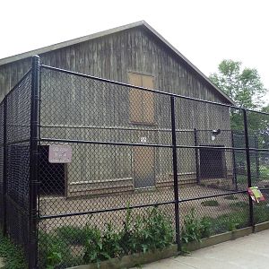 Hoofstock Barn + Pygmy Goat Exhibit