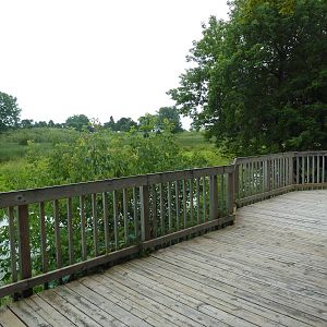 Wildlife Observation Platform
