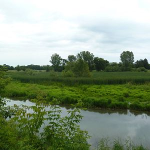 Wildlife Observation Platform - Scenic View