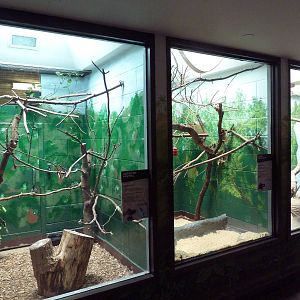 Animal Kingdom Building - Assorted Exhibits