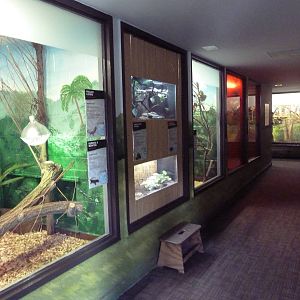 Animal Kingdom Building - Assorted Exhibits