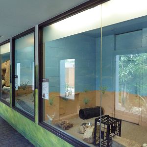 Animal Kingdom Building - Assorted Exhibits